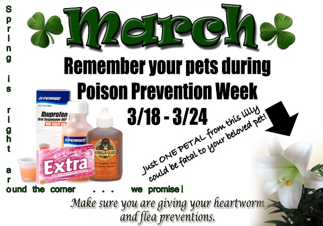 March - Poison Prevention Week