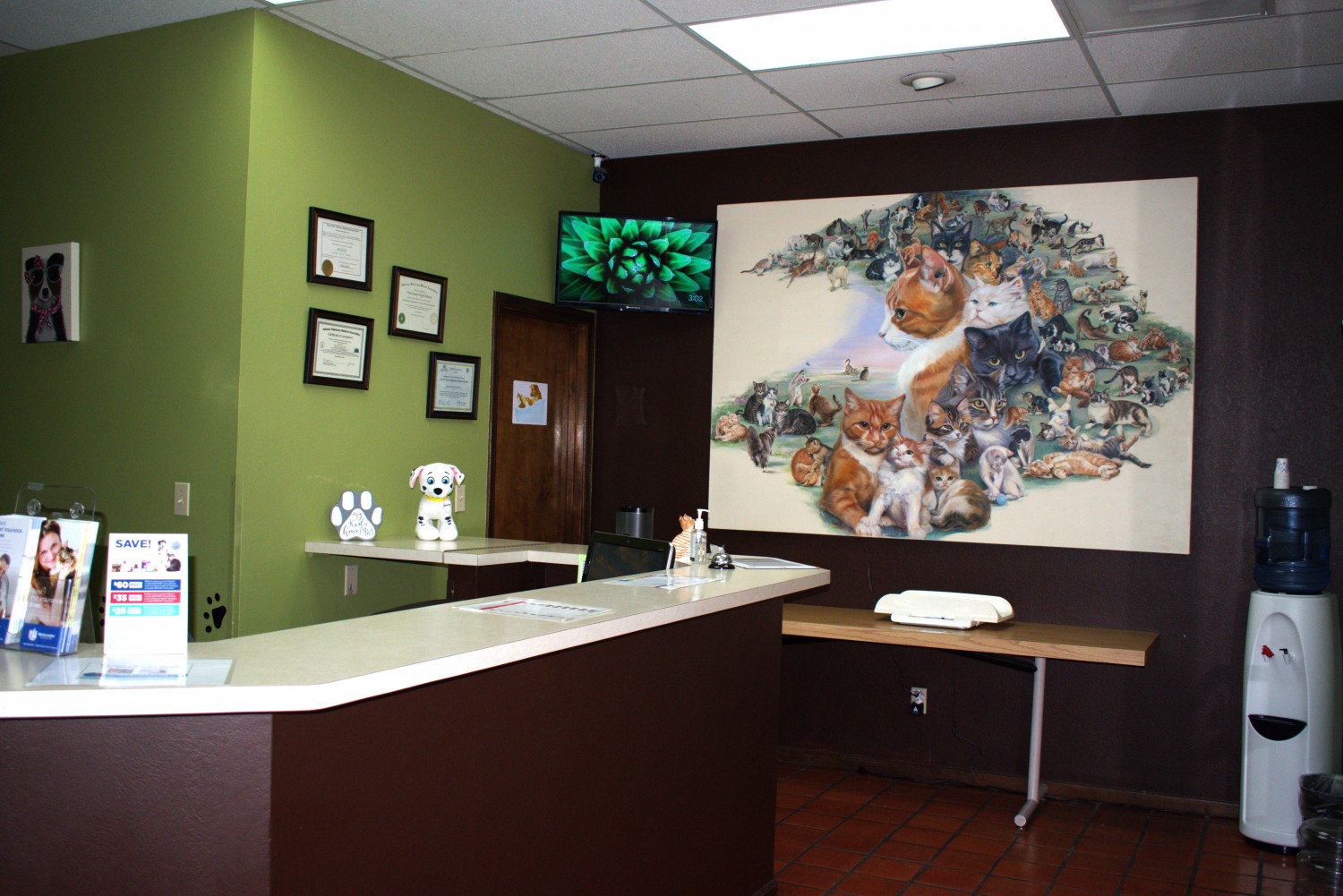 Dog & Cat Repair in Tempe, AZ