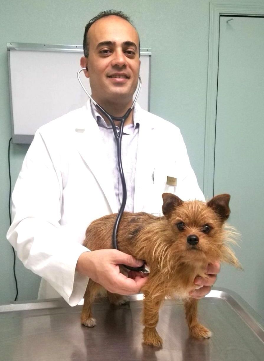 Profile for Wael Bebawy