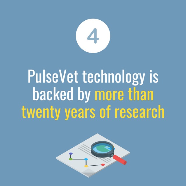 PulseVet Banner