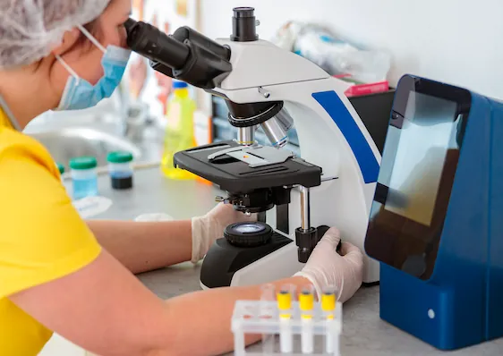 Person looking into microscope