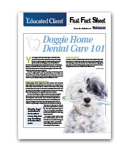 doggie-dental-care