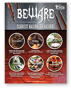 Scariest-Halloween-Hazards-Flyer