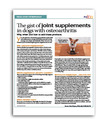 joint-supplements-dogs-osteoarthritis